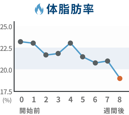 推移グラフ 体脂肪率